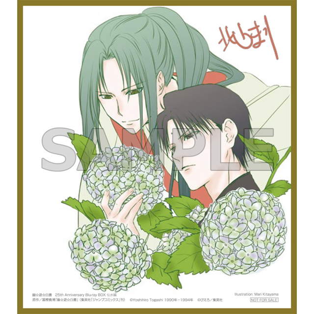 幽☆遊☆白書 25th Anniversary BOX 仙水編 特装限定版 BD｜の