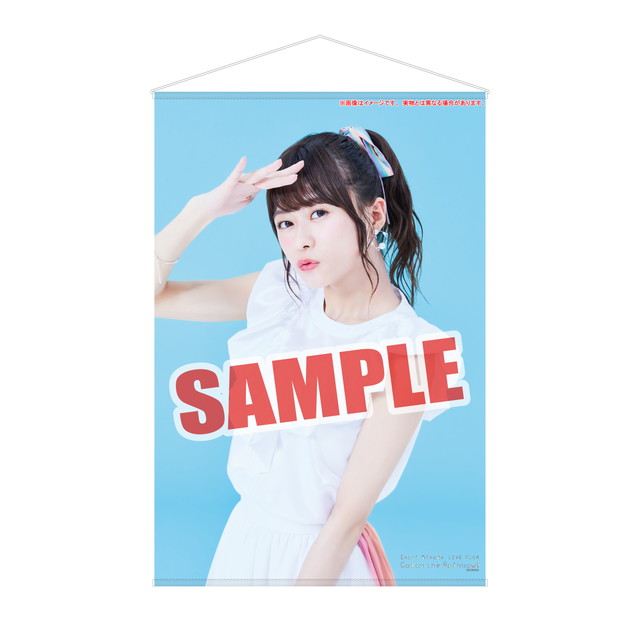 水瀬いのり / 3rd LIVE「Inori Minase LIVE TOUR Catch the Rainbow