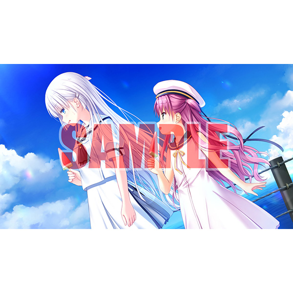 Summer Pockets Sunnyside Stories 豪華限定版｜の通販はアキバ