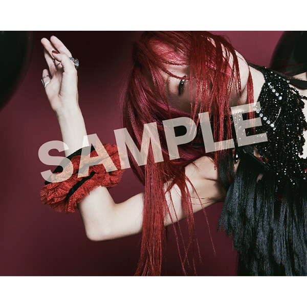 Lisa Ladybug 完全数量生産限定盤 の通販はソフマップ Sofmap