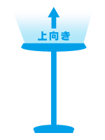 首が上に向く