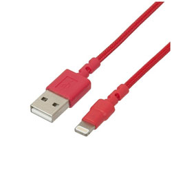 iPad / iPad mini / iPhone / iPodΉ Lightning  USBP[u [dE] 2.4A i1mEbhj MFiF LNC-W10R