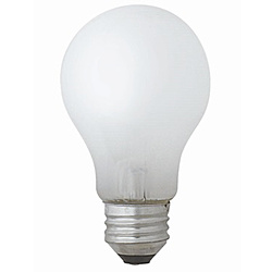 一般電球形 白熱電球 LW100V90W-TM