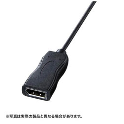 0.11m［USB-C → DisplayPort 4K］変換アダプタ ブラック AD-ALCDP01