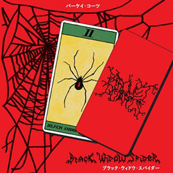 BLACK WIDOW SPIDER