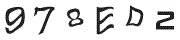 F؉摜