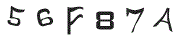 F؉摜