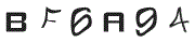 F؉摜
