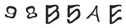 F؉摜