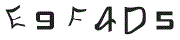 F؉摜